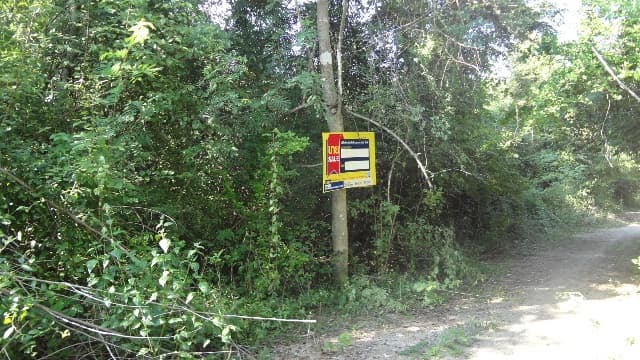 full_20200529093036.jpg