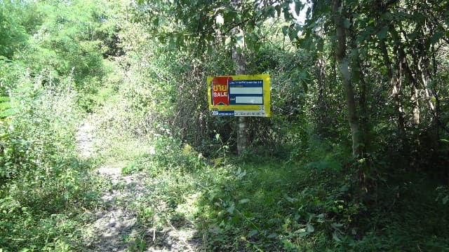 full_20200529093222.jpg