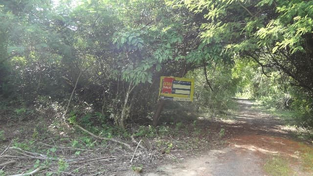 full_20200529093427.jpg