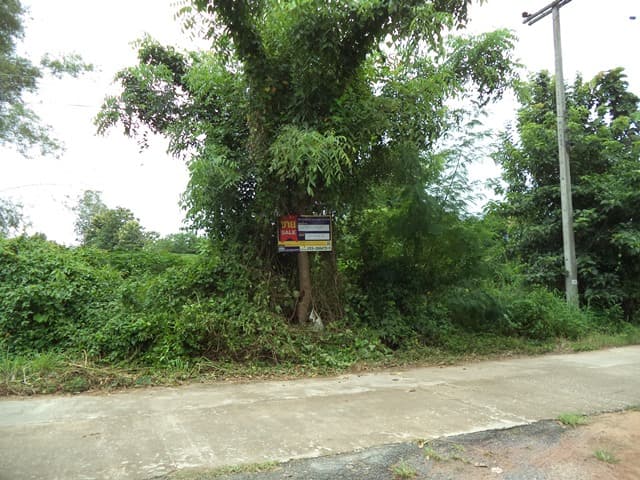 full_20200616162648.jpg
