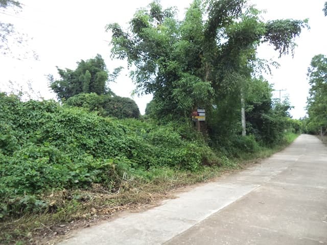 full_20200616162709.jpg