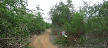 full_20200628143248.jpg