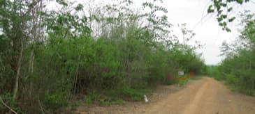 full_20200628144128.jpg