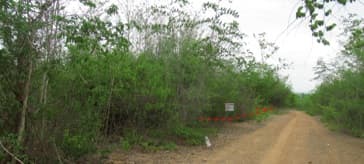 full_20200628144920.jpg