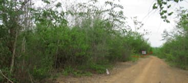 full_20200628145331.jpg
