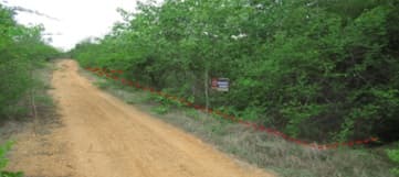 full_20200628145847.jpg