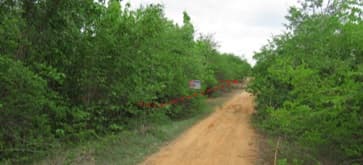 full_20200628150601.jpg