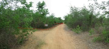 full_20200628150943.jpg