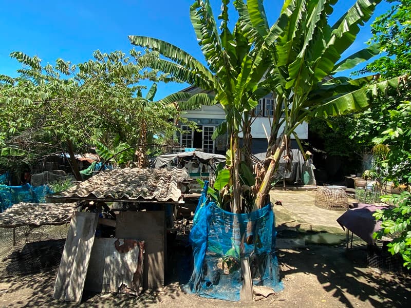 full_20201008112320.jpg