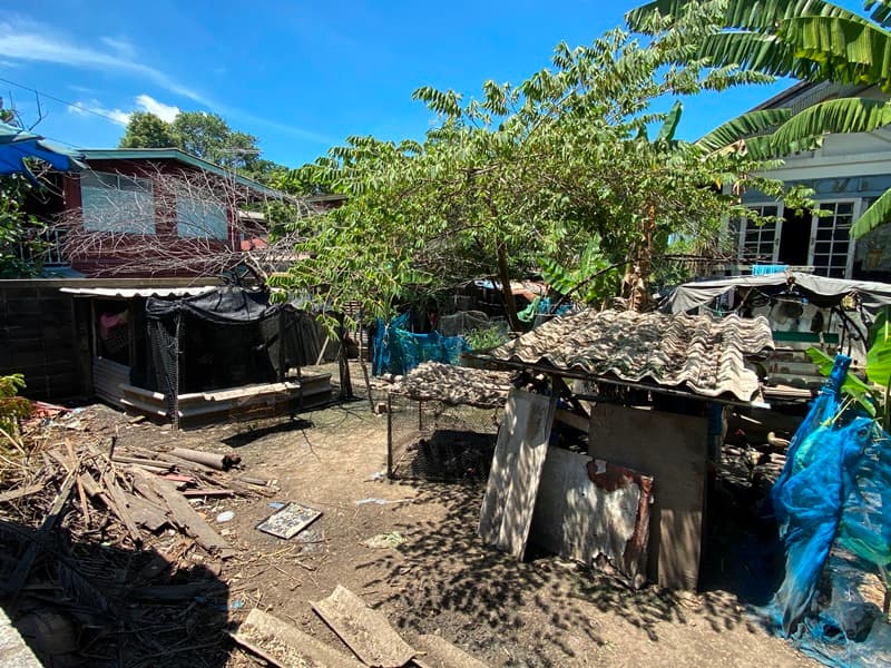 full_20201008112324.jpg