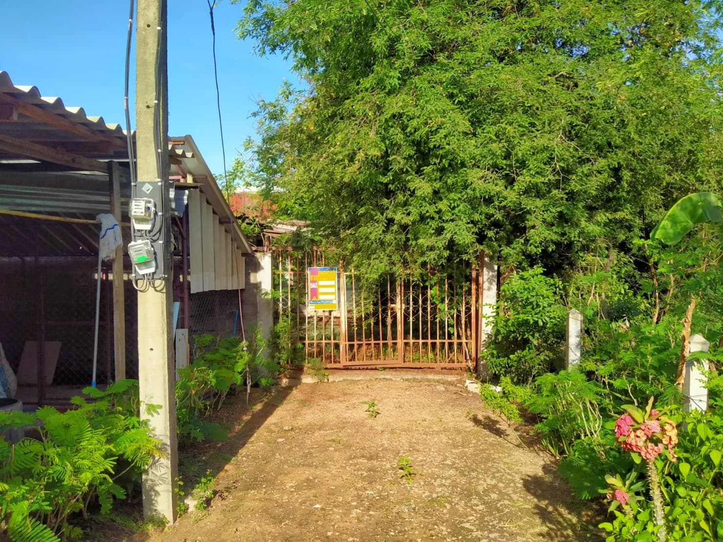 full_20201012141339.jpg
