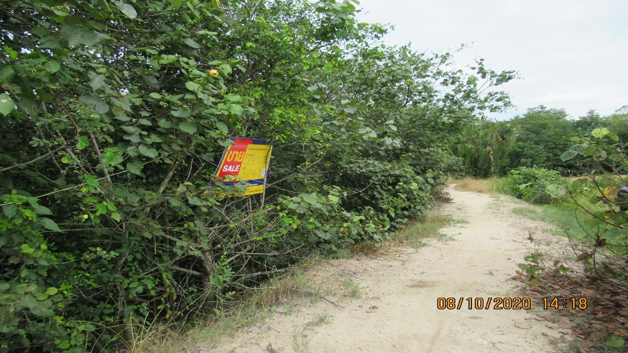 full_20201211175051.jpg