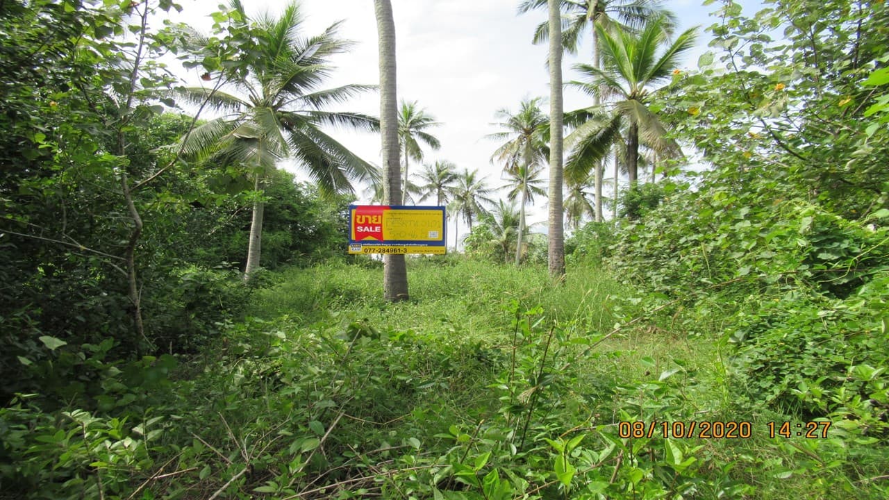 full_20201211175108.jpg