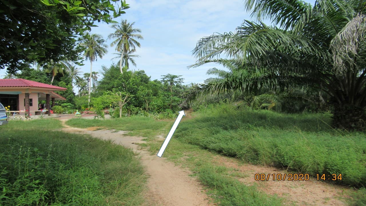 full_20201211175127.jpg