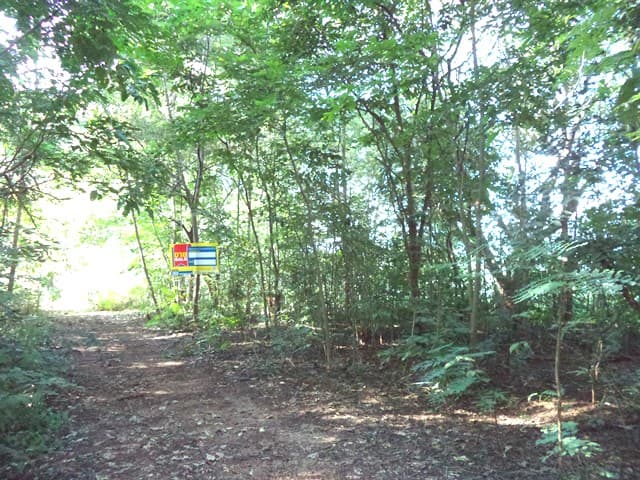 full_20201225103540.jpg