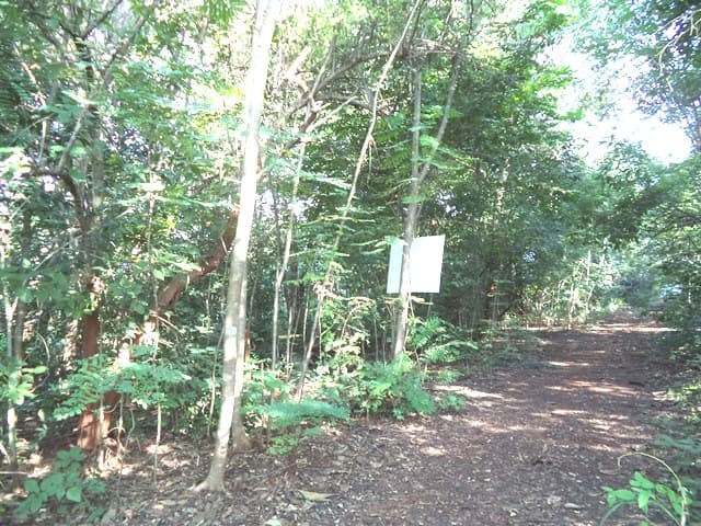 full_20201225103553.jpg