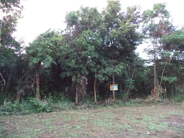 full_20201225110737.jpg