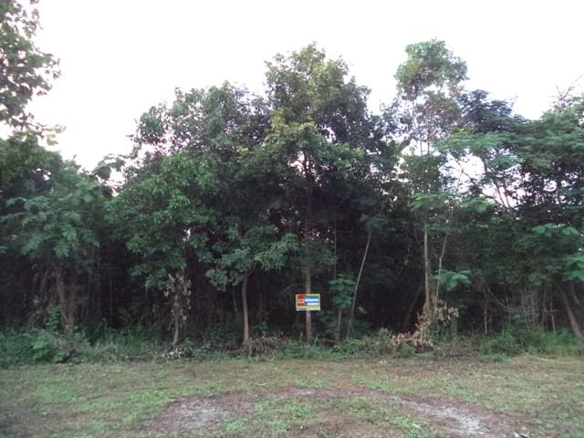 full_20201225110743.jpg