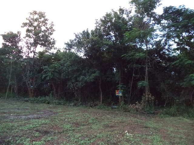 full_20201225110803.jpg