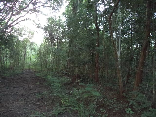 full_20201225110812.jpg