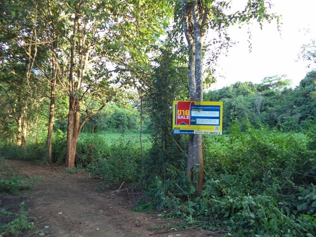 full_20201225112106.jpg
