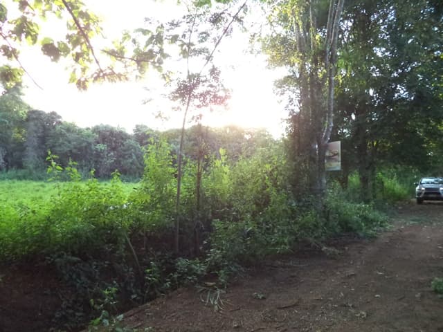 full_20201225112120.jpg