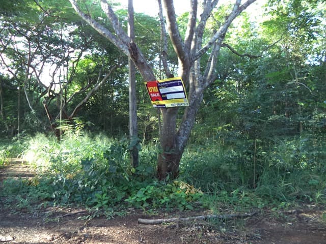 full_20201225114046.jpg