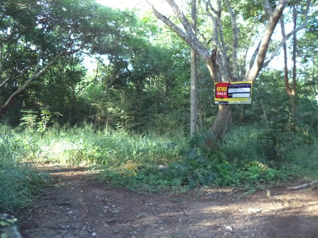 full_20201225114053.jpg