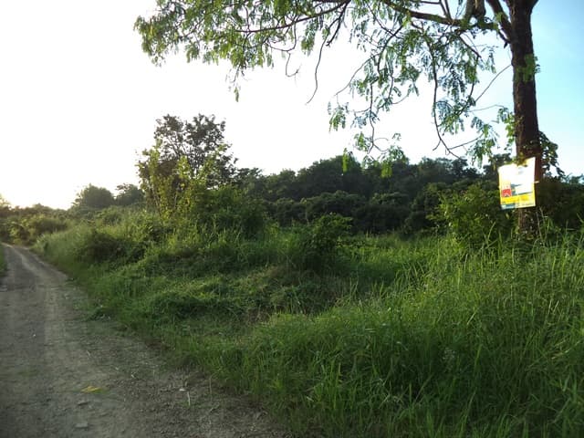 full_20201225120943.jpg
