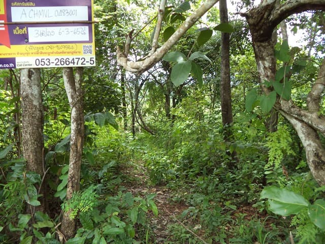 full_20201225140015.jpg