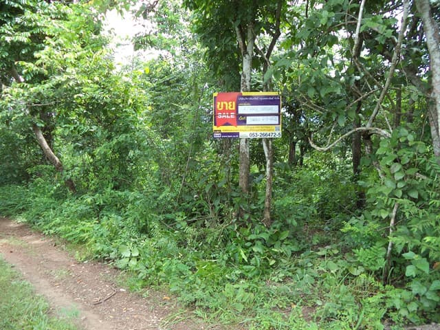 full_20201225140038.jpg