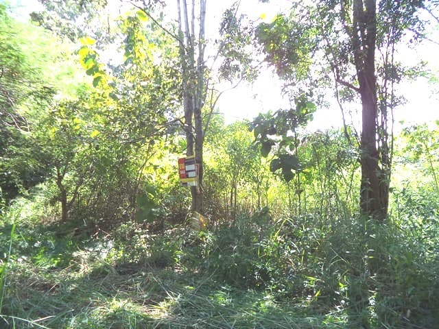 full_20201229173201.jpg