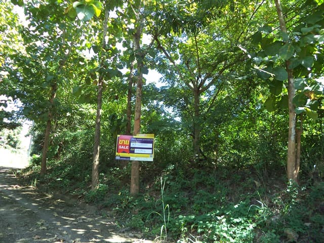 full_20201230084633.jpg