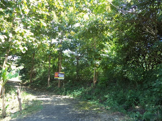 full_20201230084641.jpg