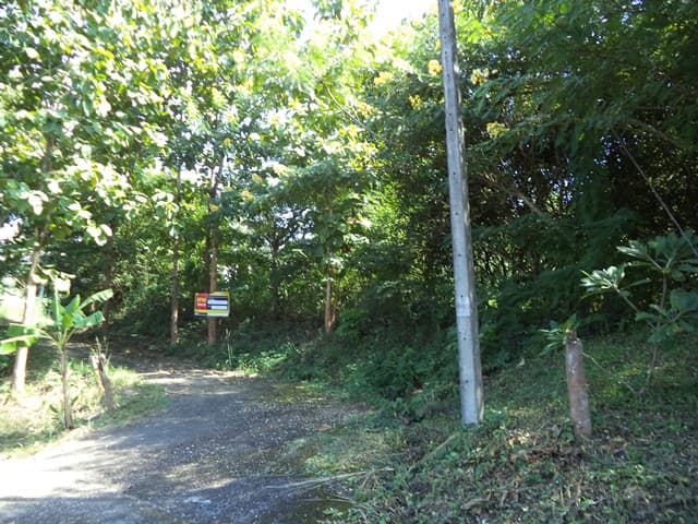 full_20201230084648.jpg