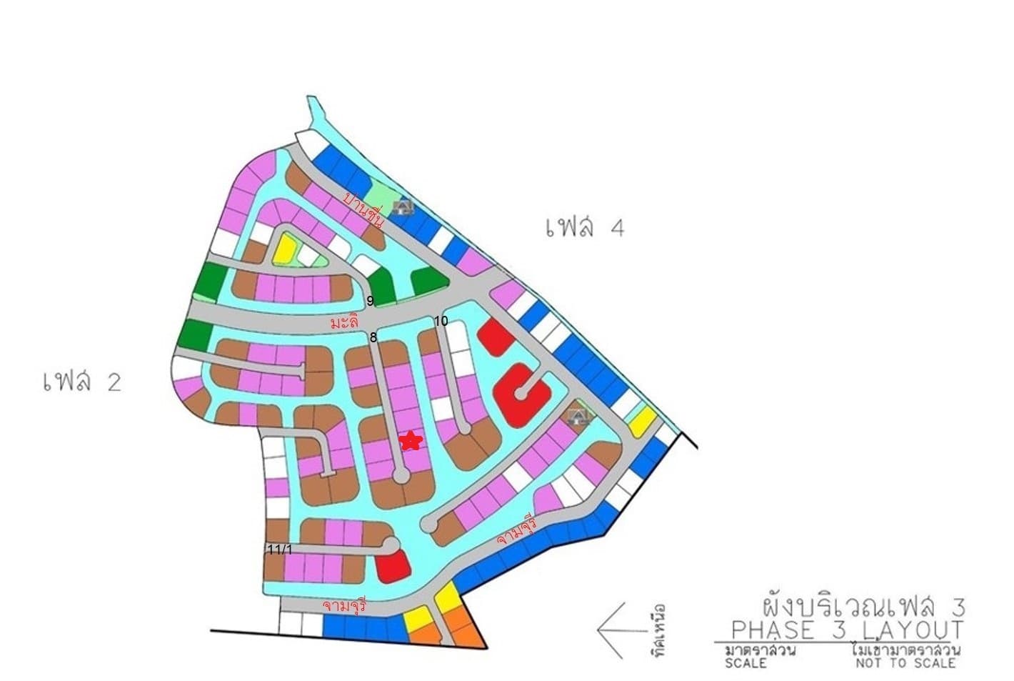 full_20210126142656.jpg
