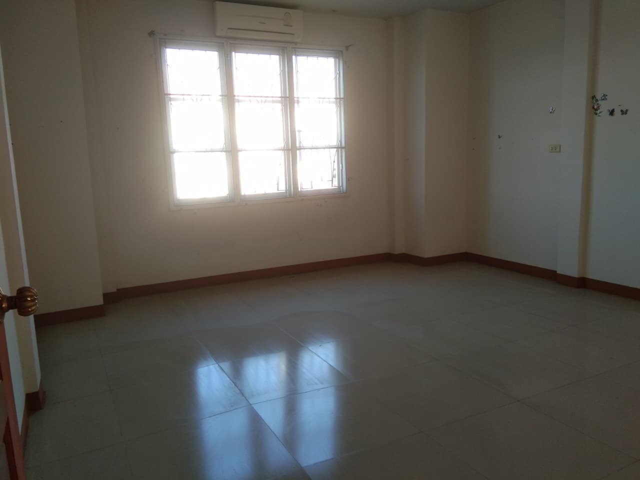 full_20210201102859.jpg