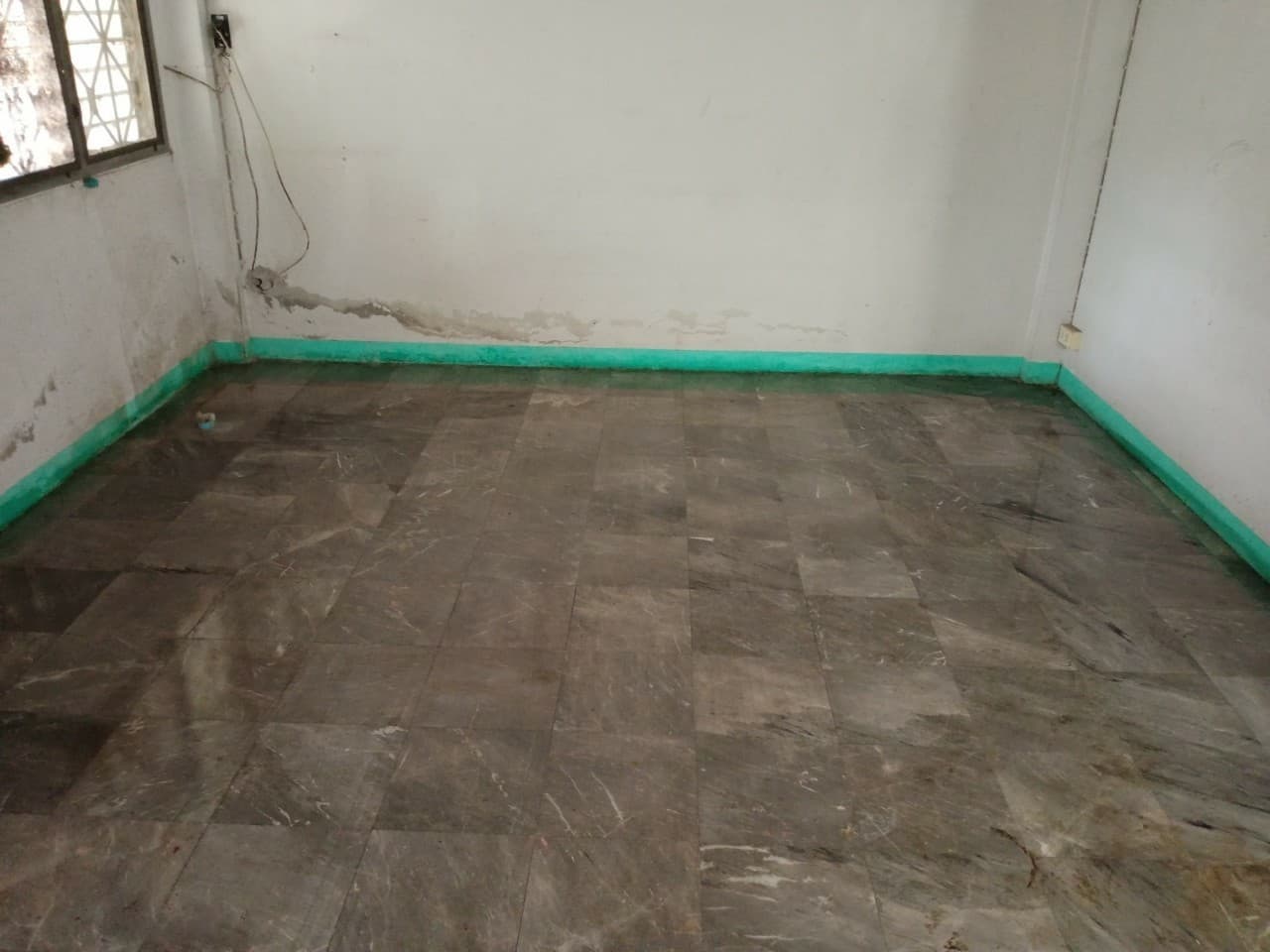 full_20210201105751.jpg