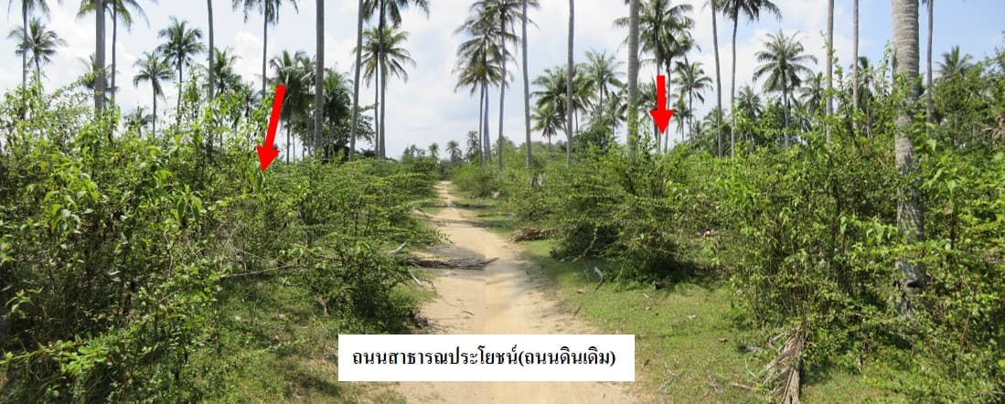 full_20210211151311.jpg