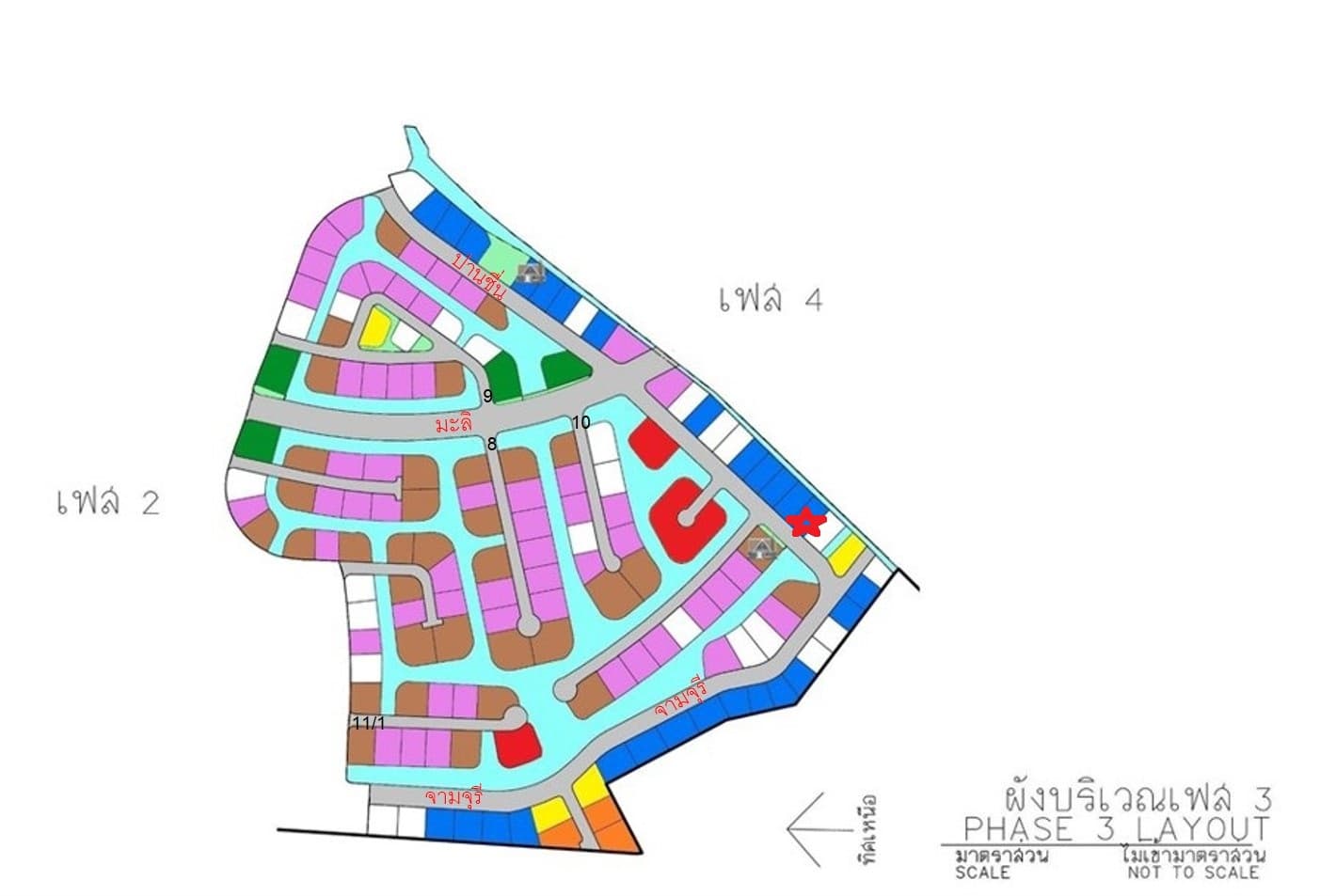 full_20210213115147.jpg