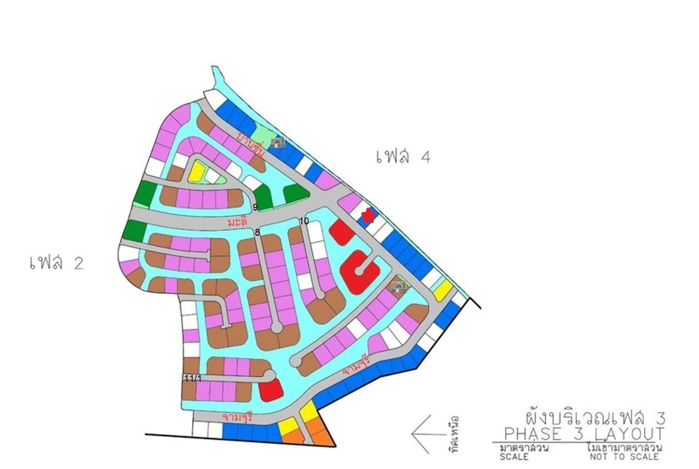 full_20210213120312.jpg