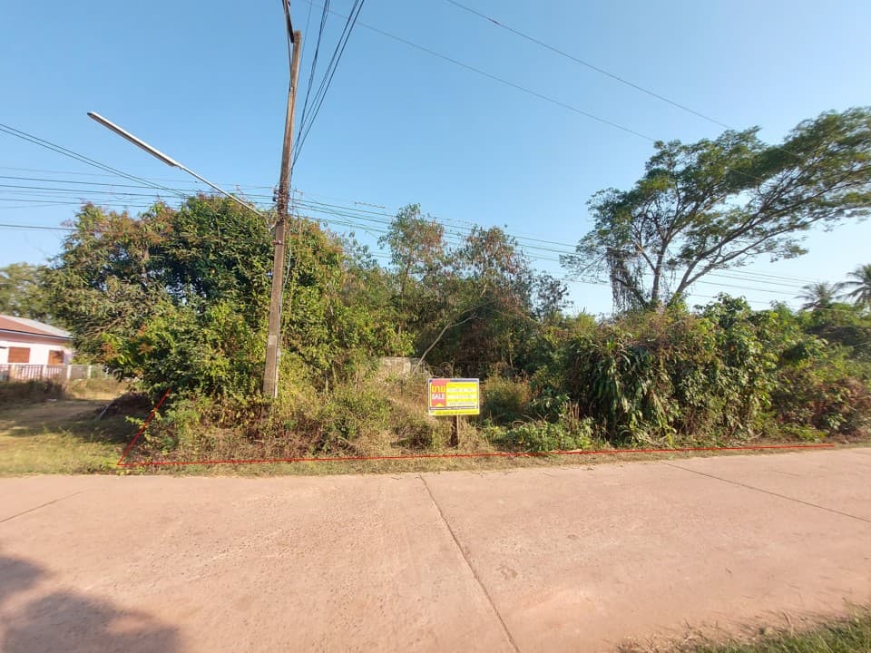 full_20210217105352.jpg