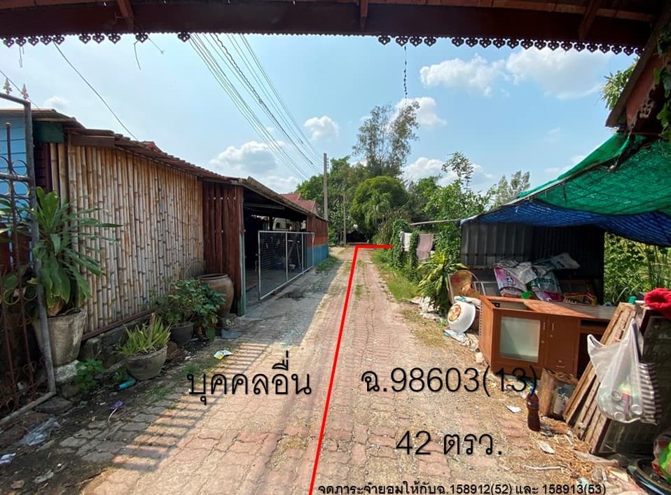 full_20210315144904.jpg
