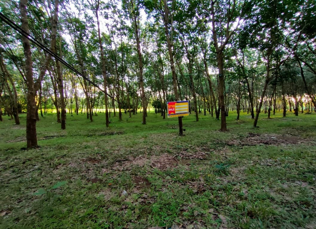 full_20210606141032.jpg
