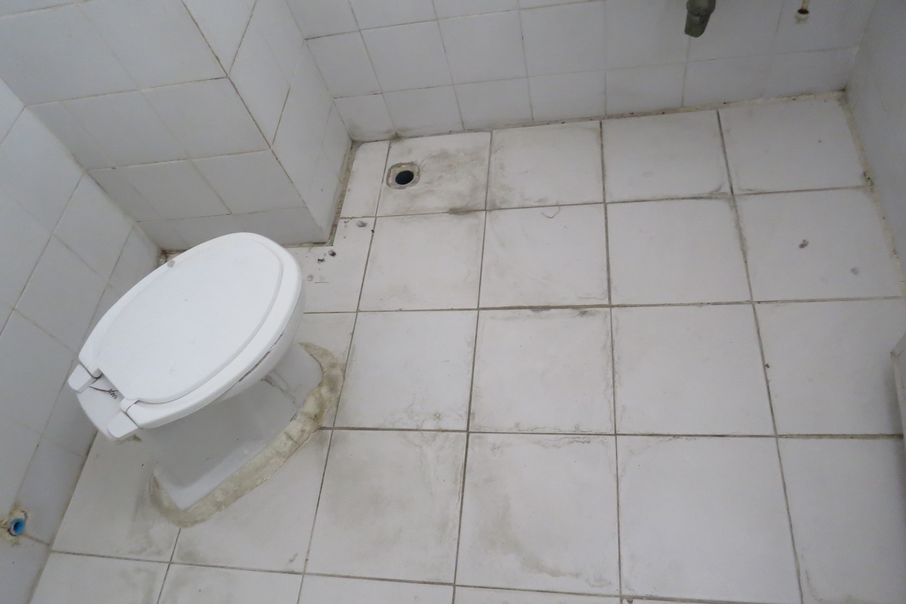 full_20210727145222.jpg