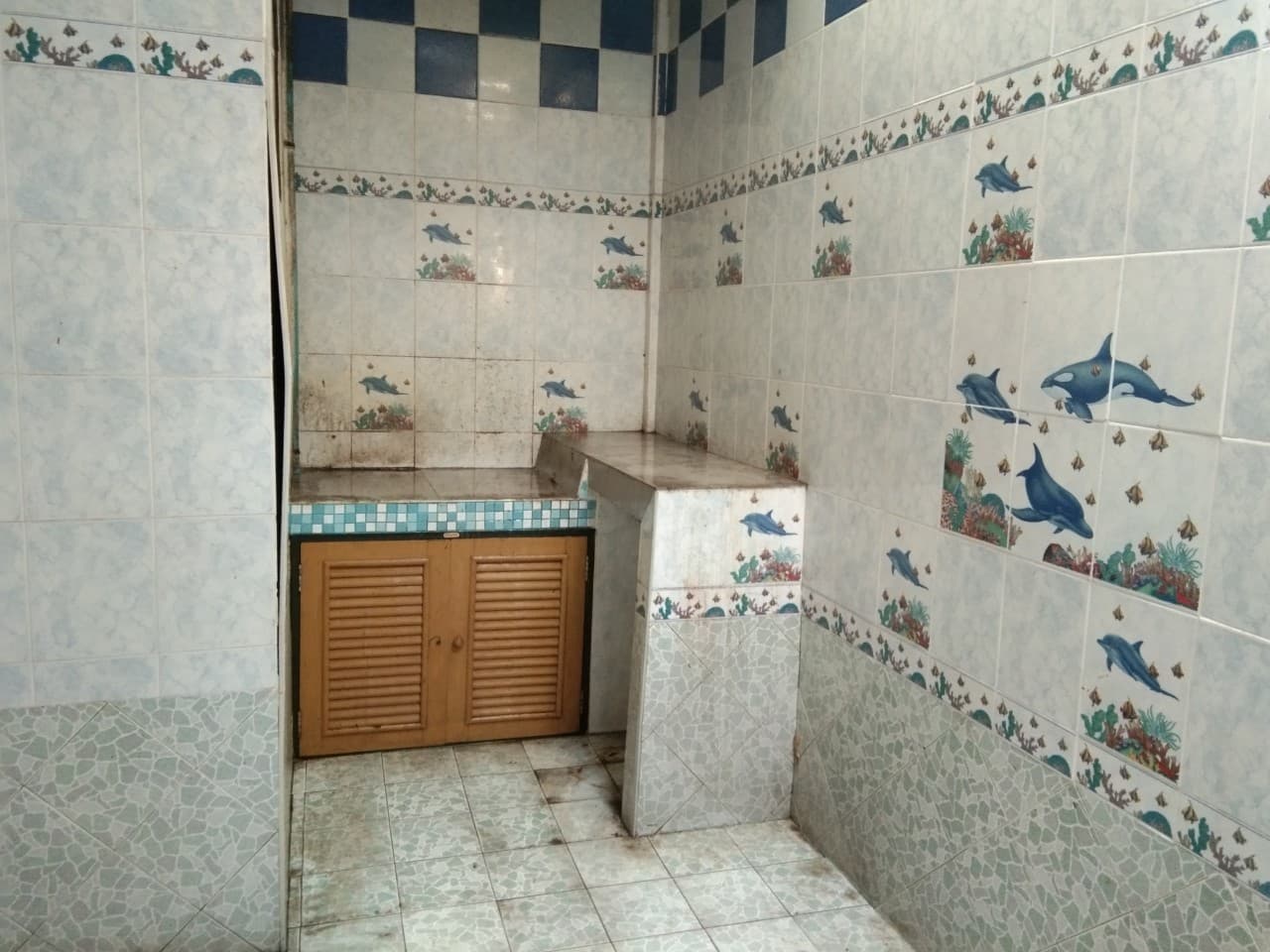 full_20210811135305.jpg