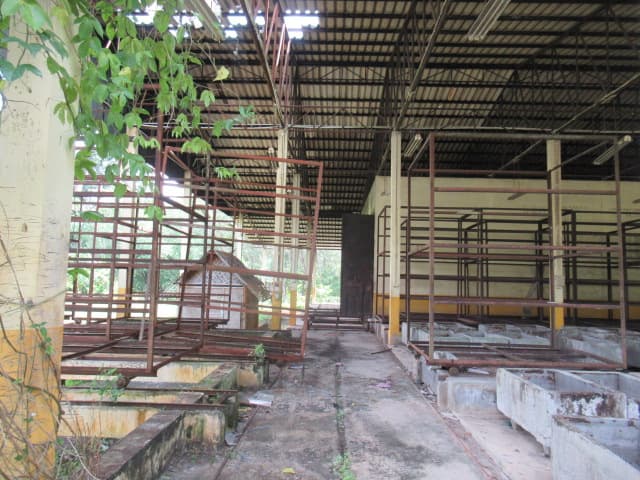full_20211213120828.jpg