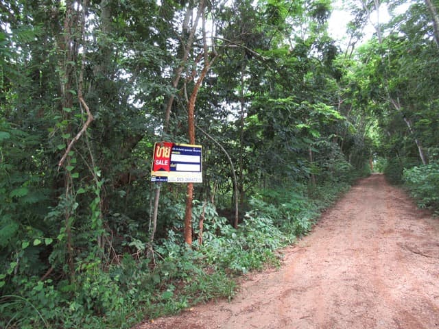 full_20211229145157.jpg