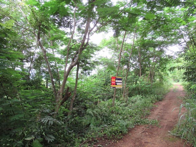 full_20211229152929.jpg