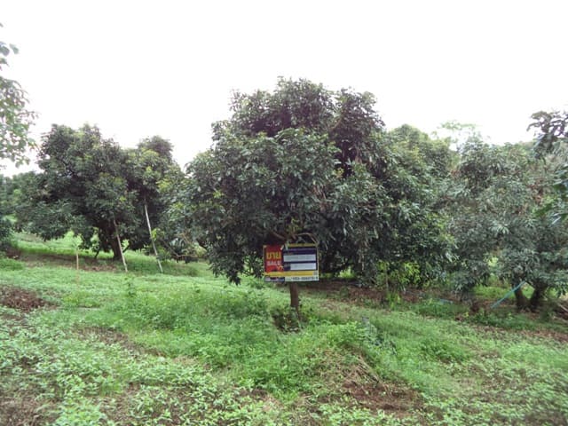 full_20211229163443.jpg